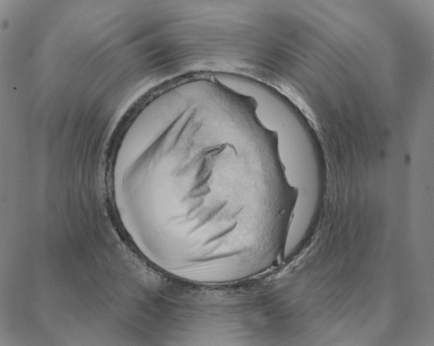 X0000088380976200706191304