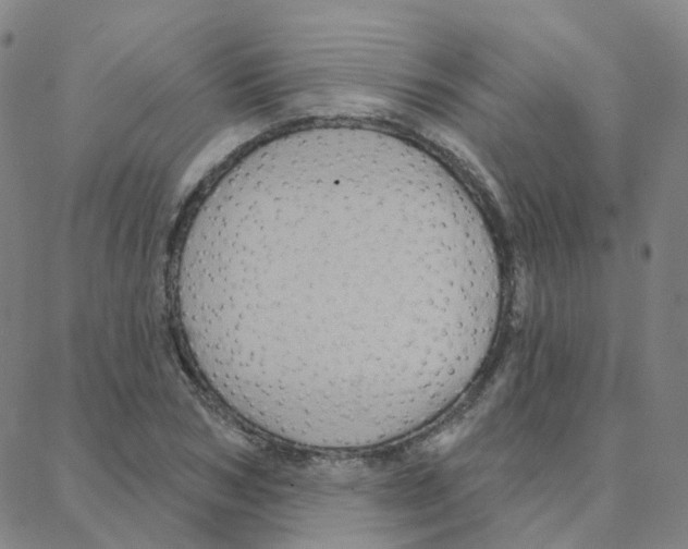 X0000088380978200706191304