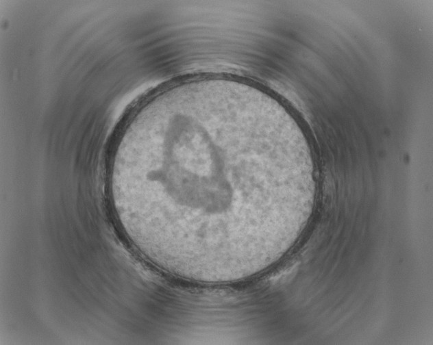 X0000088380979200706191304