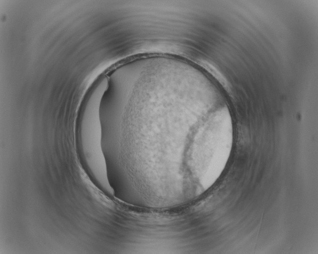 X0000088380980200706191304