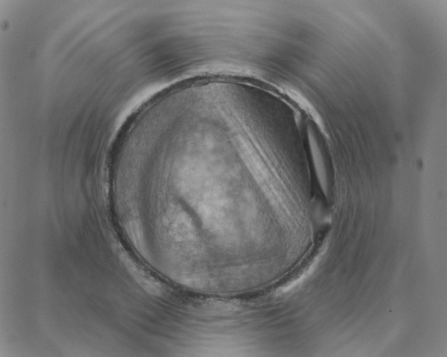 X0000088380981200706191303