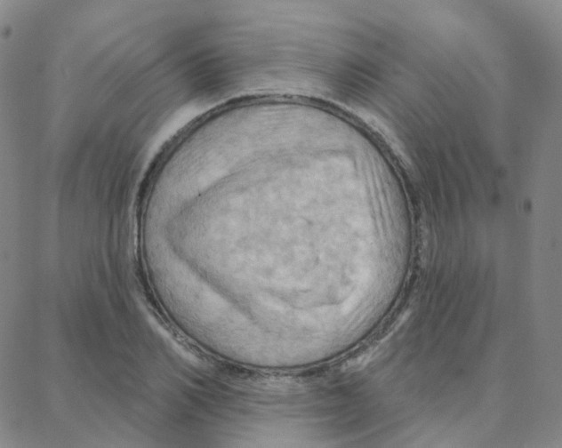 X0000088380982200706191303