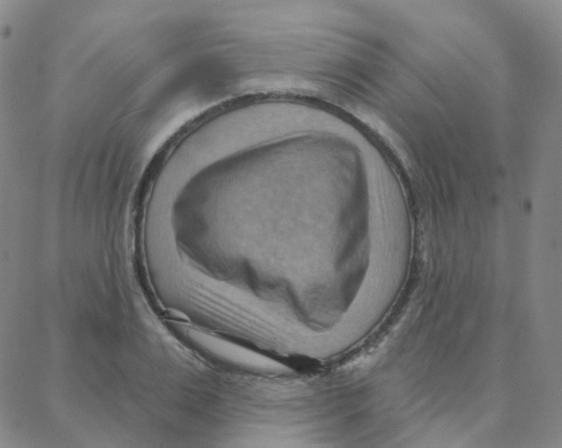 X0000088380983200706191303