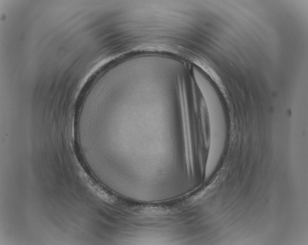 X0000088380984200706191303