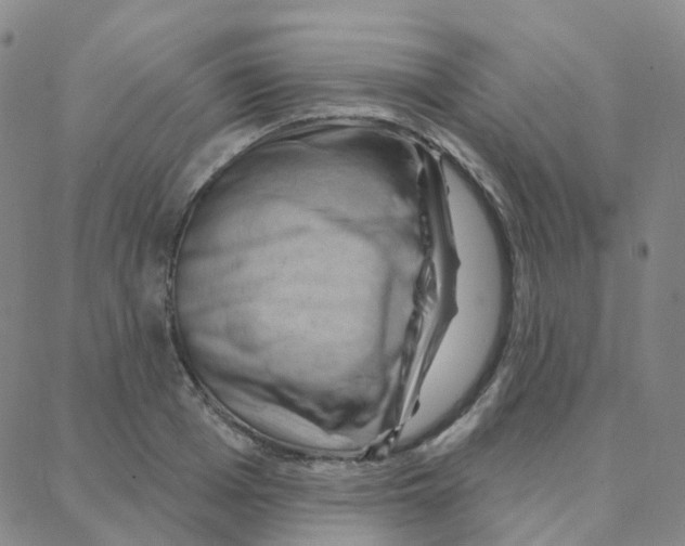 X0000088380985200706191303