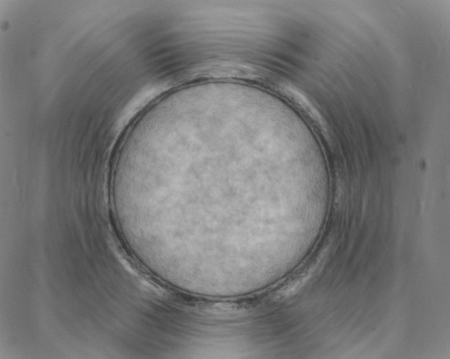 X0000088380986200706191303