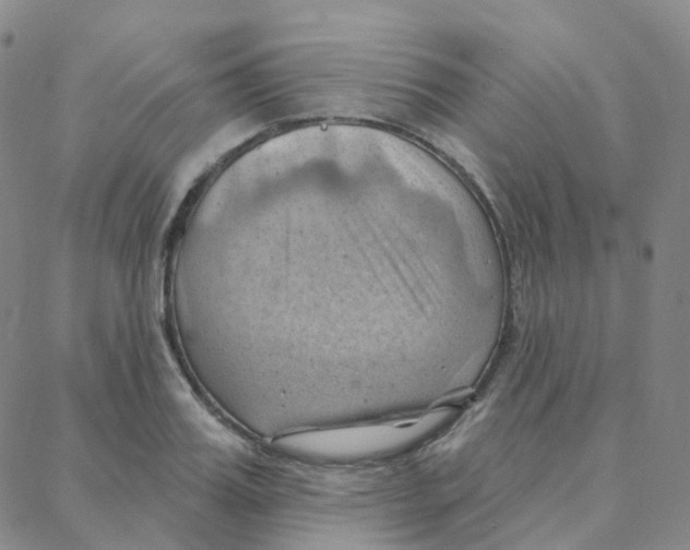 X0000088380987200706191303