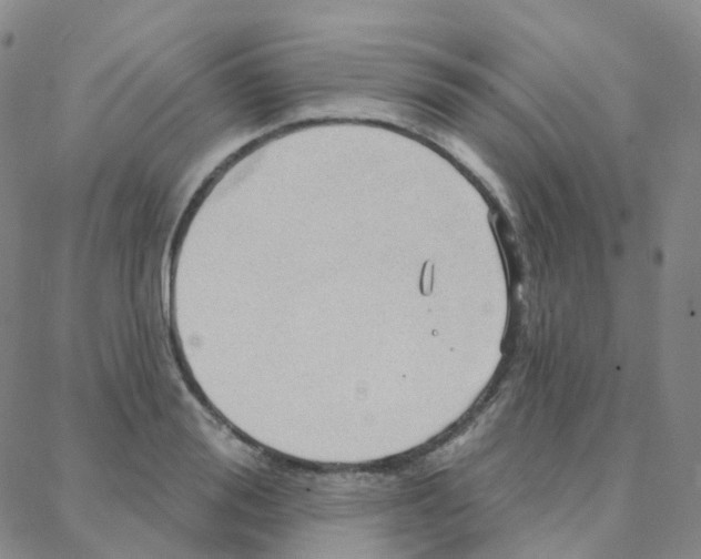 X0000088380988200706191303