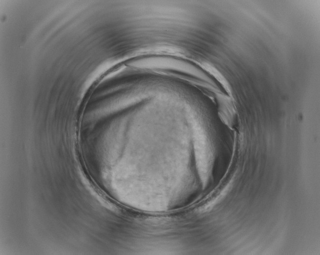 X0000088380989200706191303