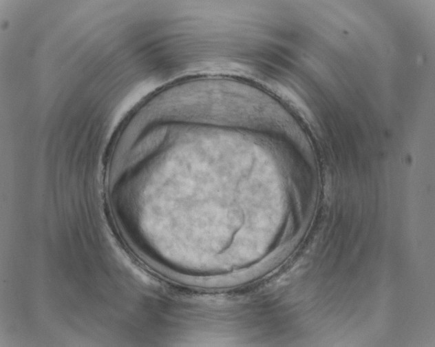 X0000088380990200706191303