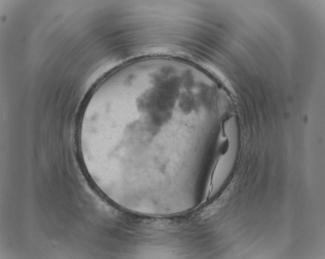 X0000088380991200706191303