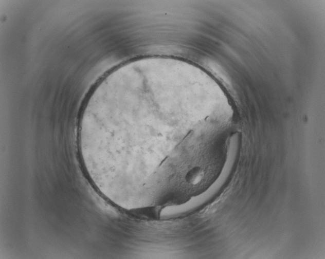 X0000088380992200706191303