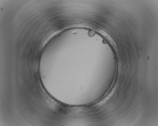 X0000088380993200706191303