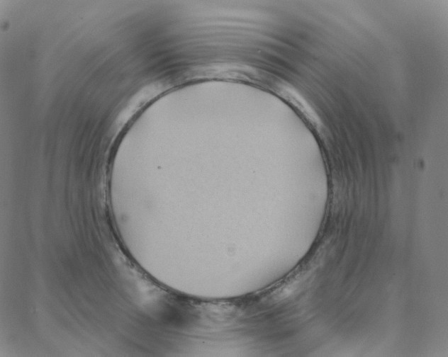 X0000088380994200706191303