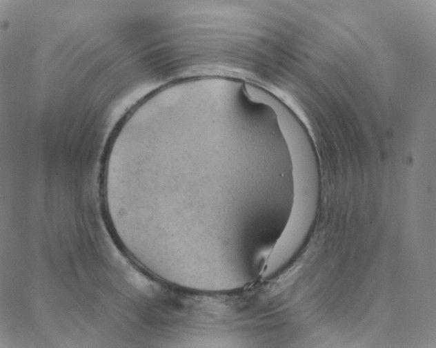 X0000088380995200706191303