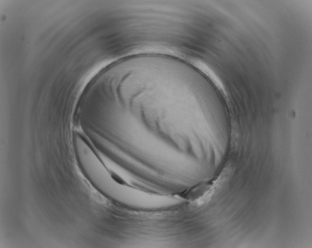 X0000088380996200706191303