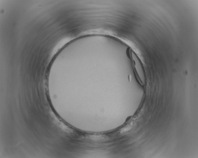 X0000088380998200706191303