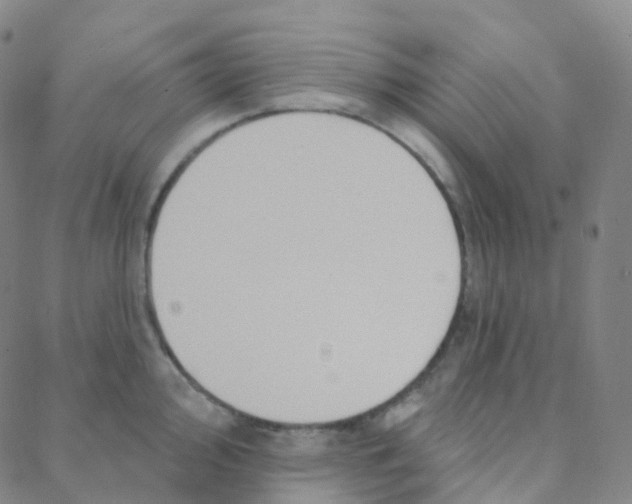 X0000088381000200706191303