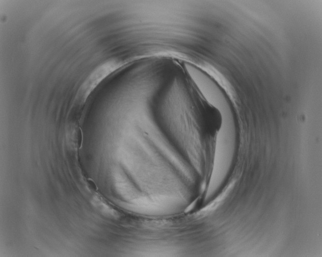 X0000088381001200706191303