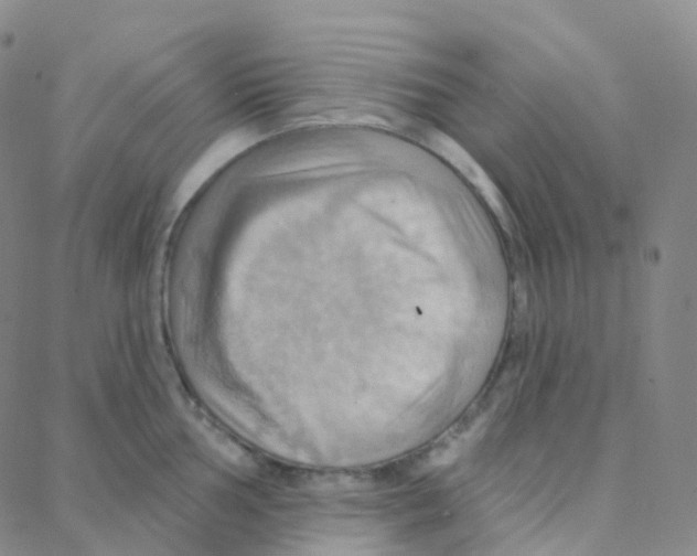 X0000088381002200706191303