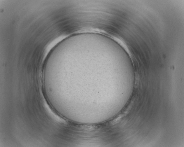 X0000088381003200706191303