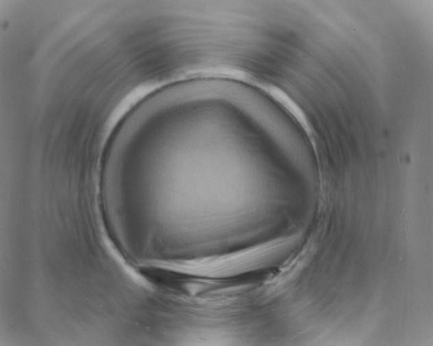 X0000088381005200706191303