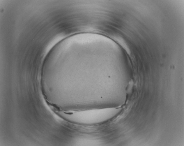 X0000088381007200706191303