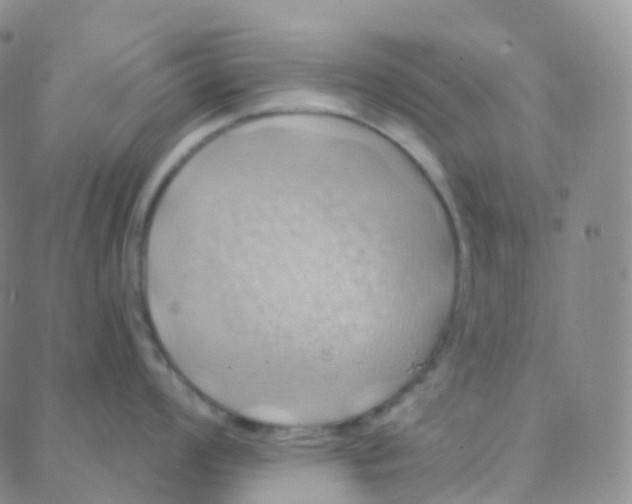 X0000088381008200706191303