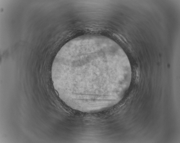 X0000088381009200706191302