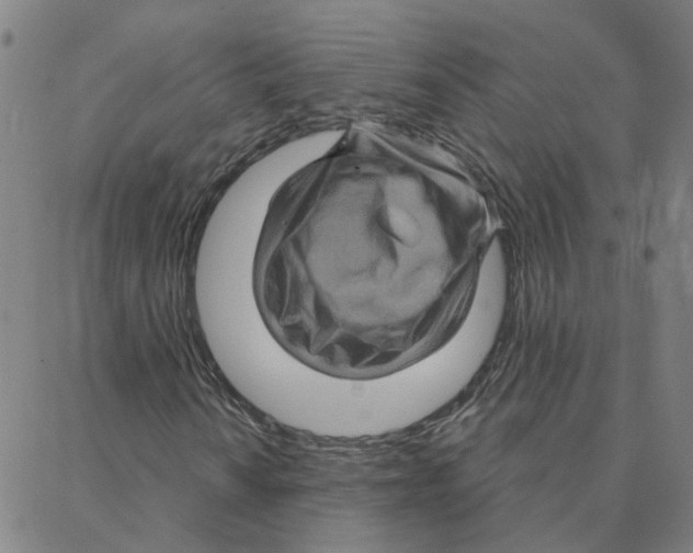 X0000088381010200706191302