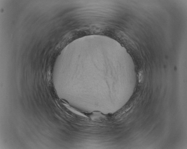 X0000088381011200706191302