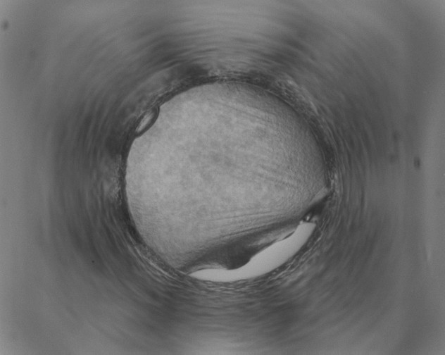 X0000088381012200706191302