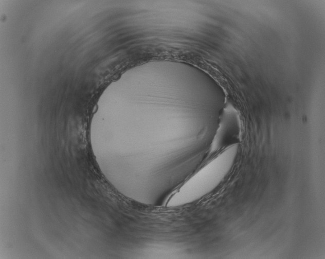 X0000088381013200706191302