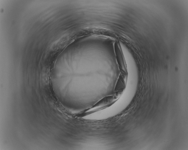 X0000088381014200706191302