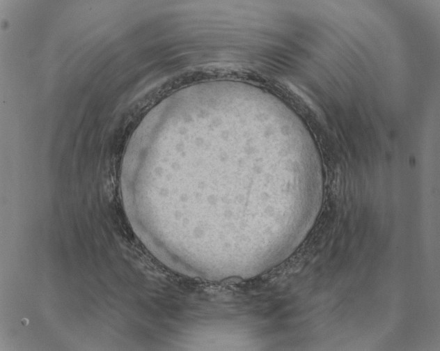 X0000088381015200706191302