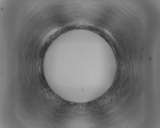 X0000088381016200706191302