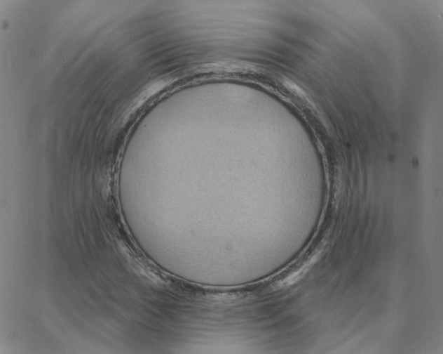 X0000088381017200706191302