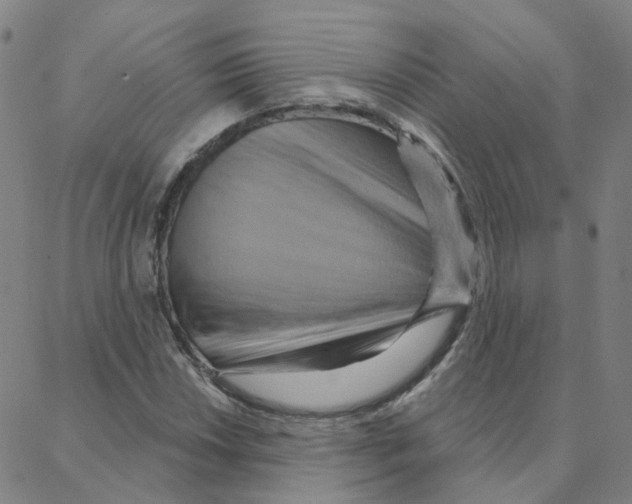 X0000088381018200706191302