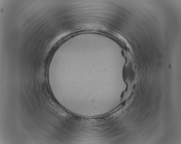 X0000088381019200706191302