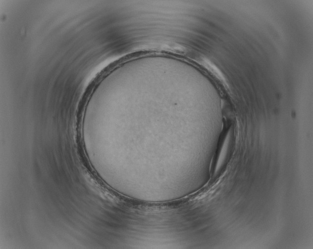 X0000088381020200706191302