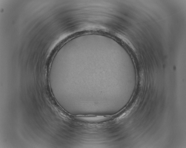 X0000088381021200706191302