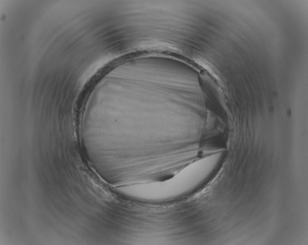 X0000088381022200706191302