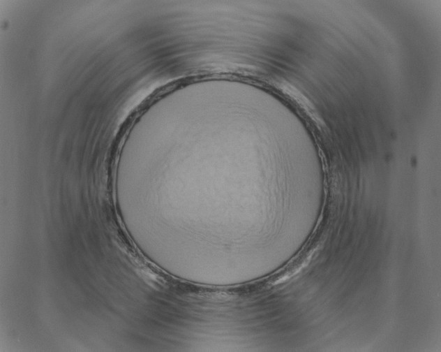 X0000088381023200706191303