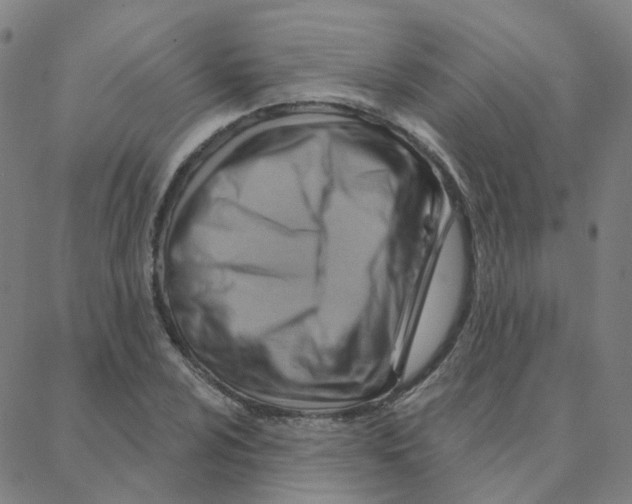 X0000088381024200706191303