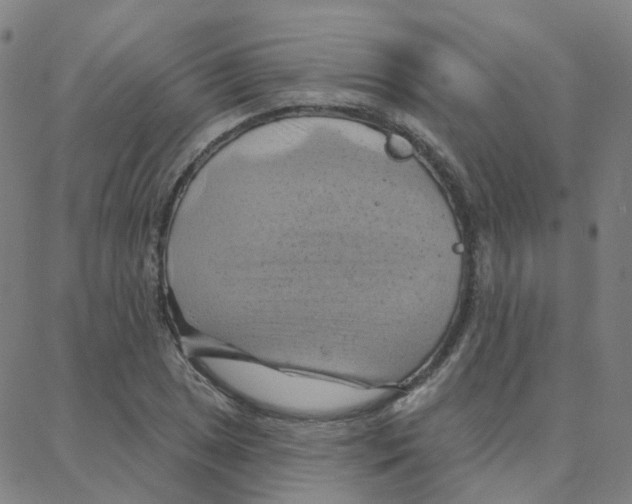 X0000088381025200706191303