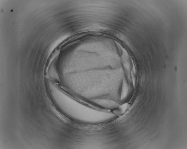 X0000088381026200706191303