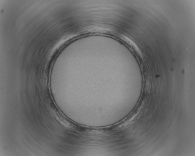 X0000088381027200706191303