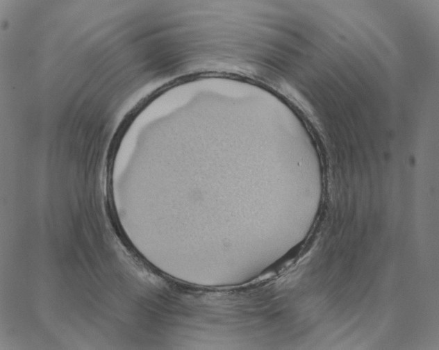 X0000088381028200706191303