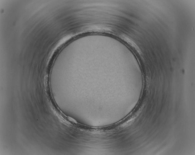 X0000088381029200706191303