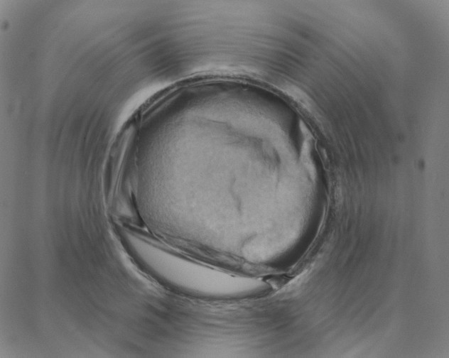 X0000088381030200706191303